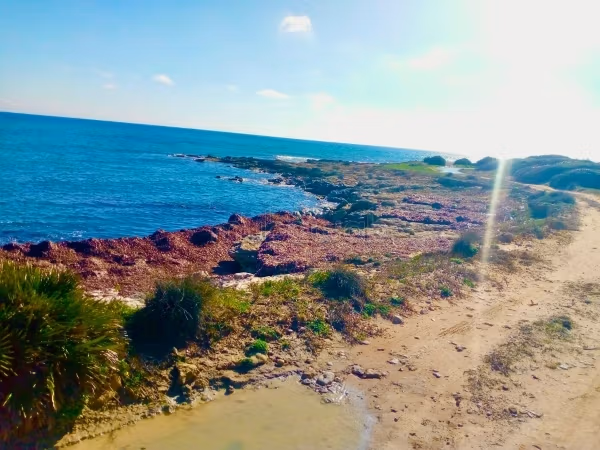Land for sale. Area 500 m²