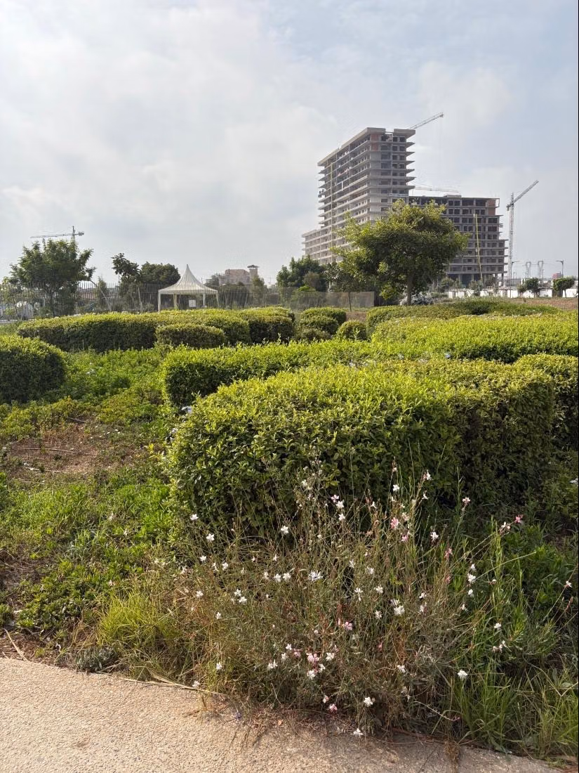 Appartement neuf à louer 120m vue sur la mère