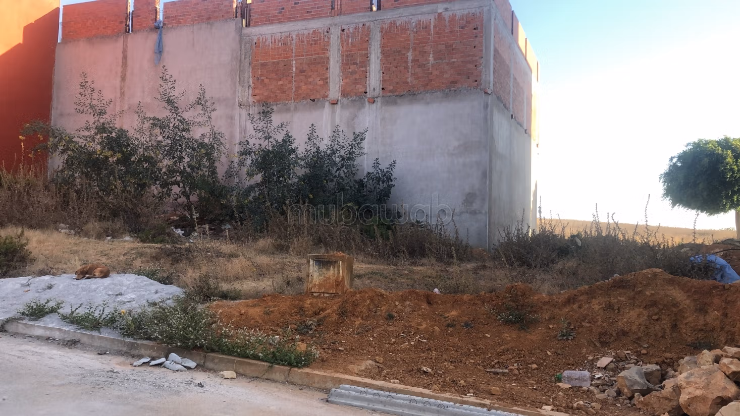 Nu kopen: land. Totale oppervlakte 119 m²