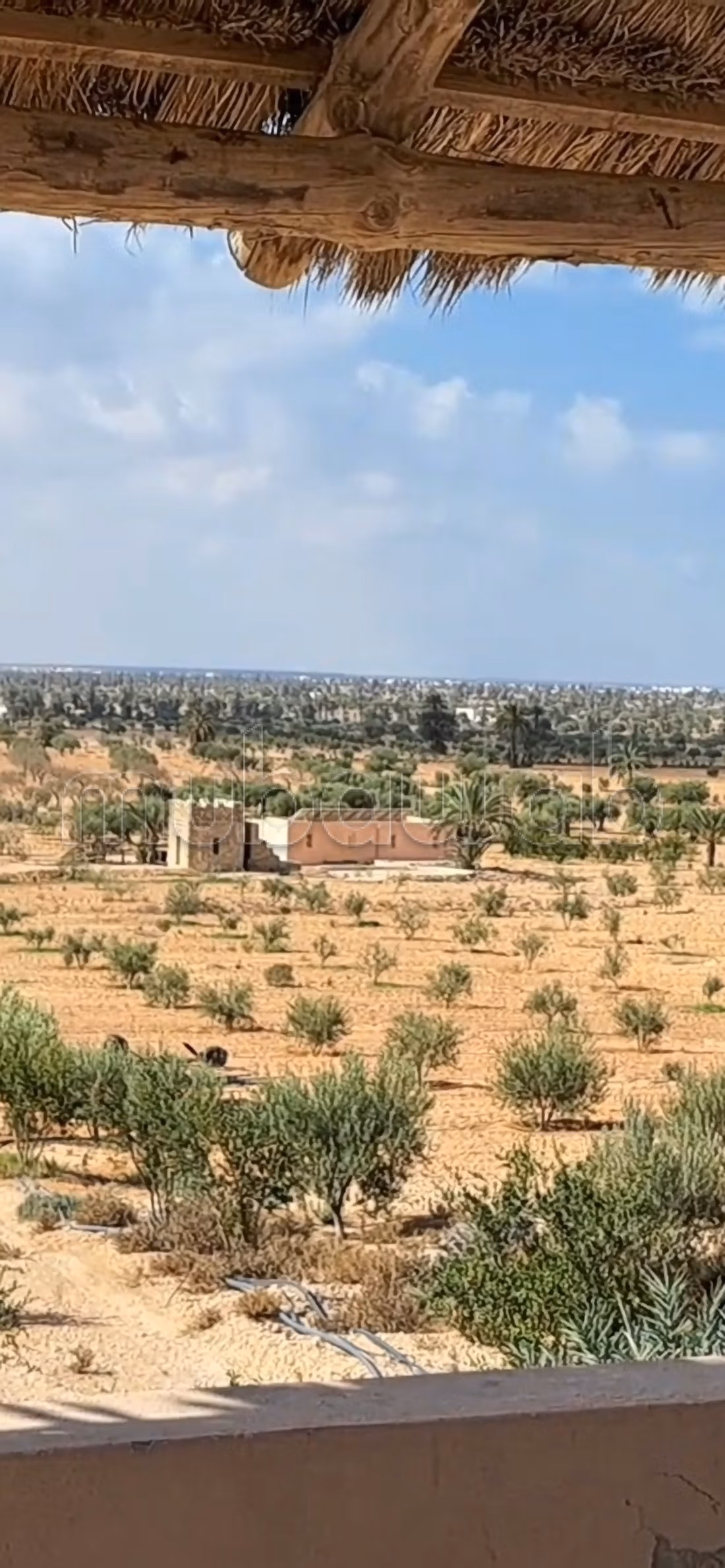 Tghazwissen, Le Bijou de Djerba
