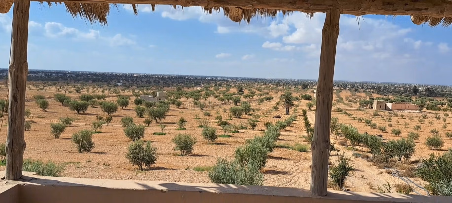 Tghazwissen, Le Bijou de Djerba