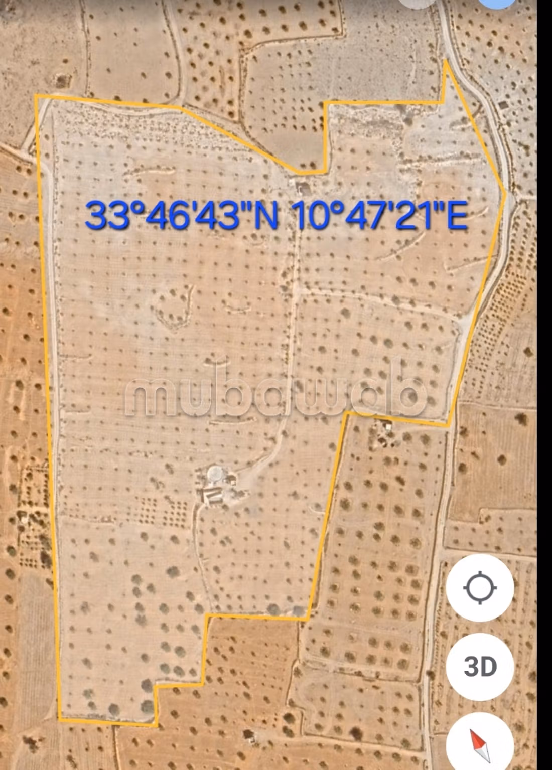 Tghazwissen, Le Bijou de Djerba