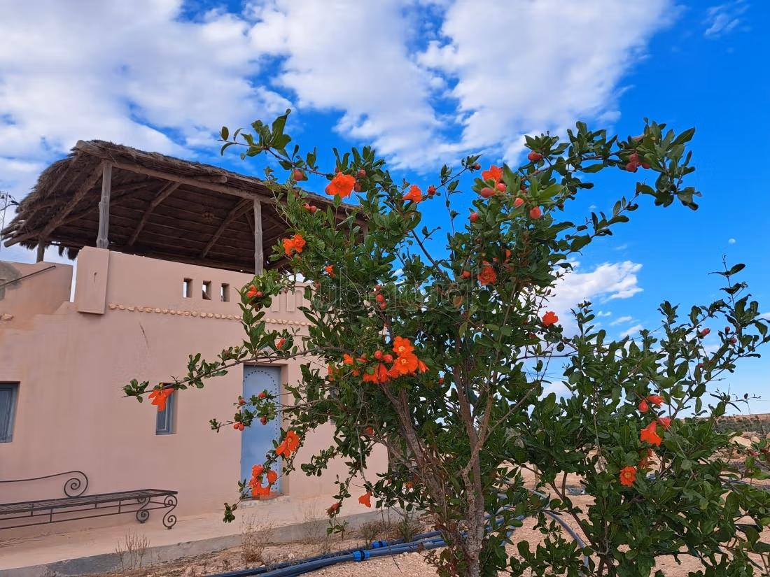Tghazwissen, Le Bijou de Djerba