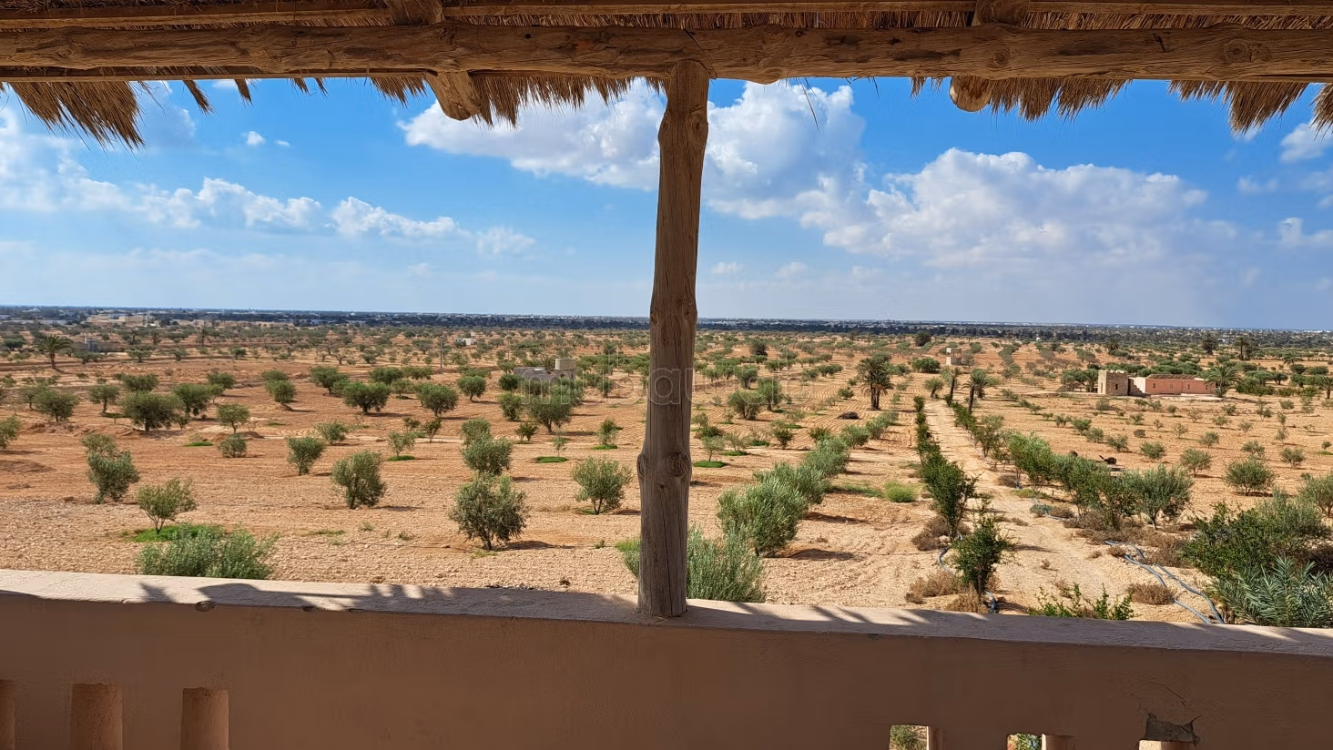 Tghazwissen, Le Bijou de Djerba