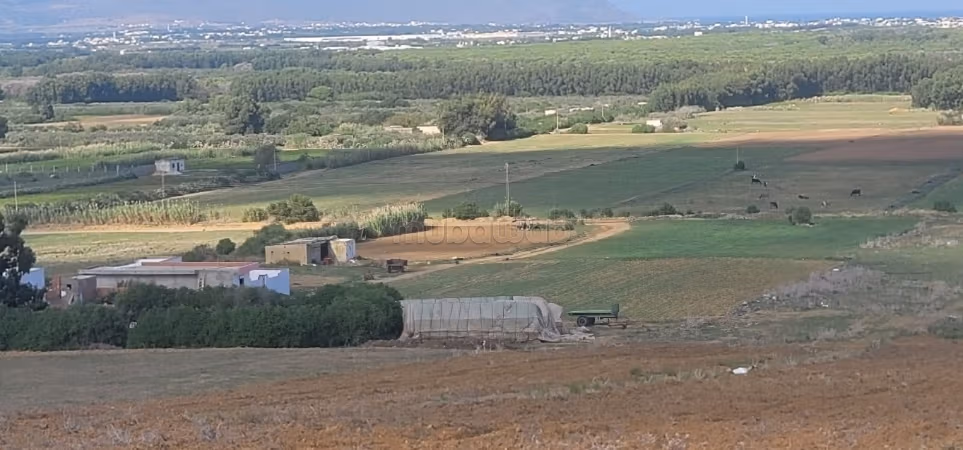 Land for purchase. Surface area 100 m²