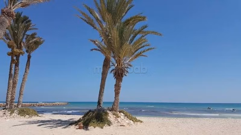 Terrain 10.000m² 
1 hectares a vendre