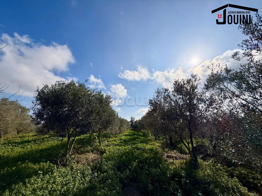 Land for purchase. Small area 12500 m²