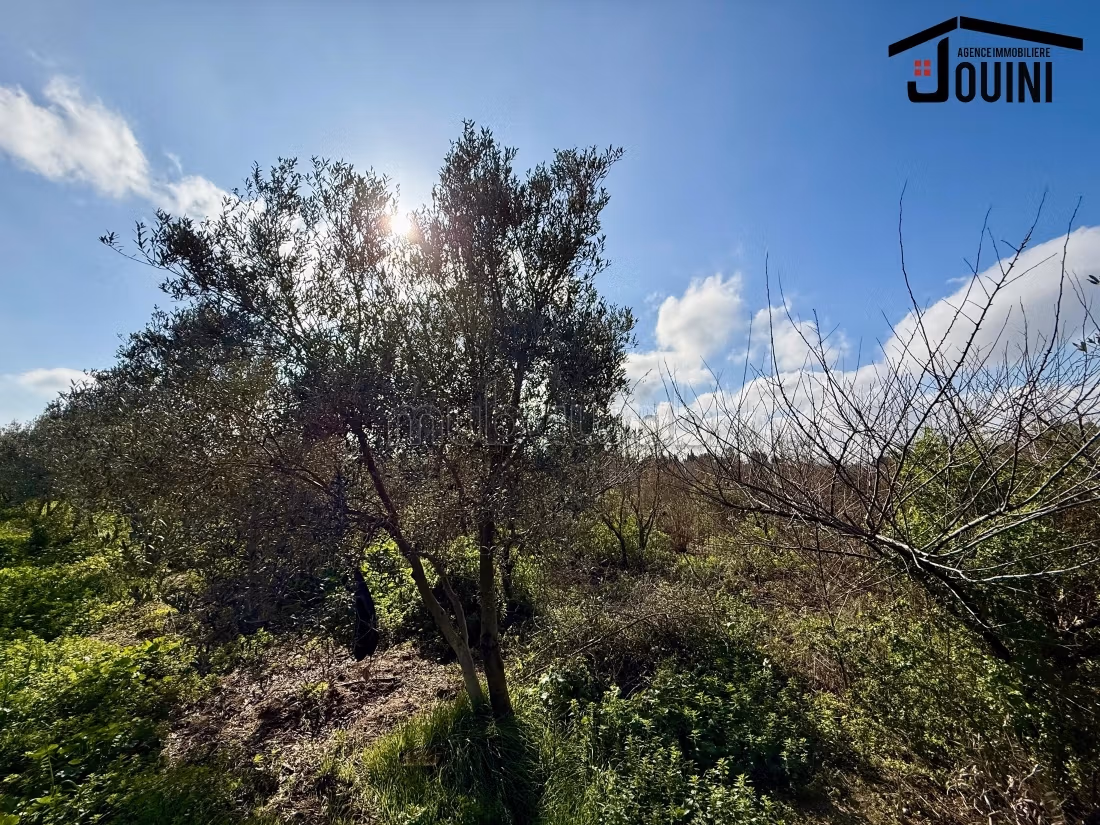 Land for purchase. Small area 12500 m²