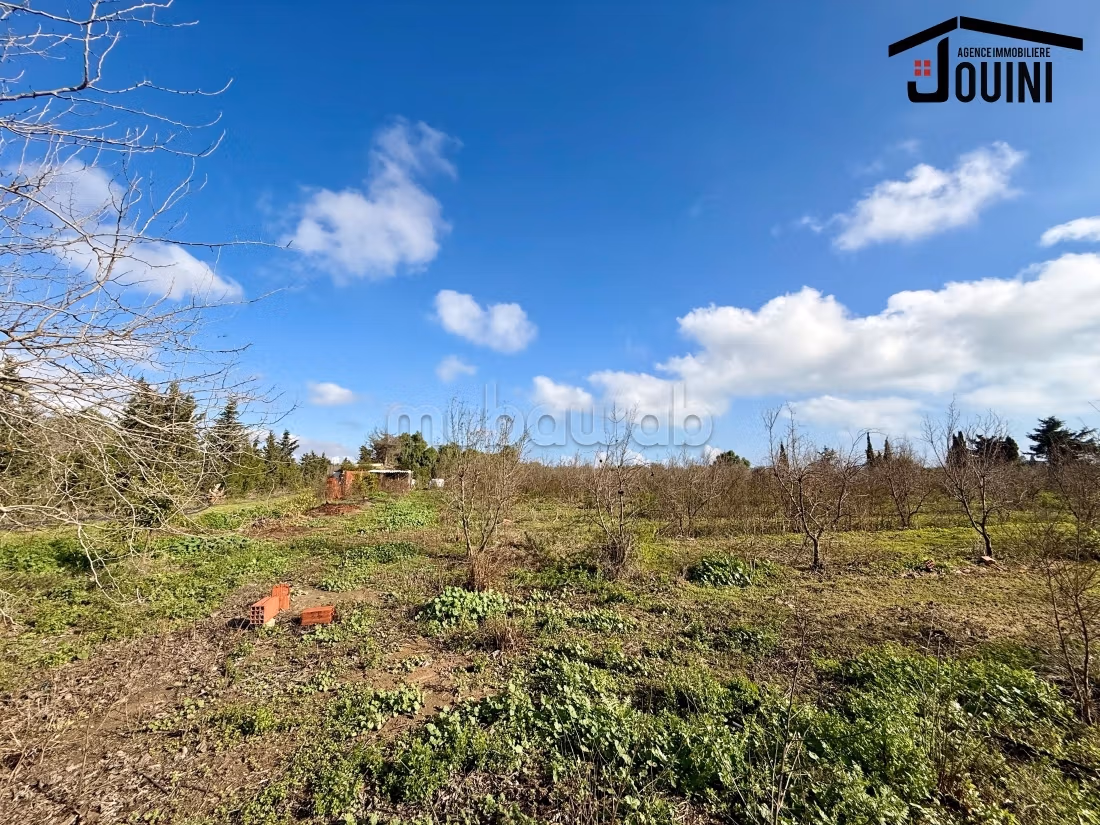Land for purchase. Small area 12500 m²