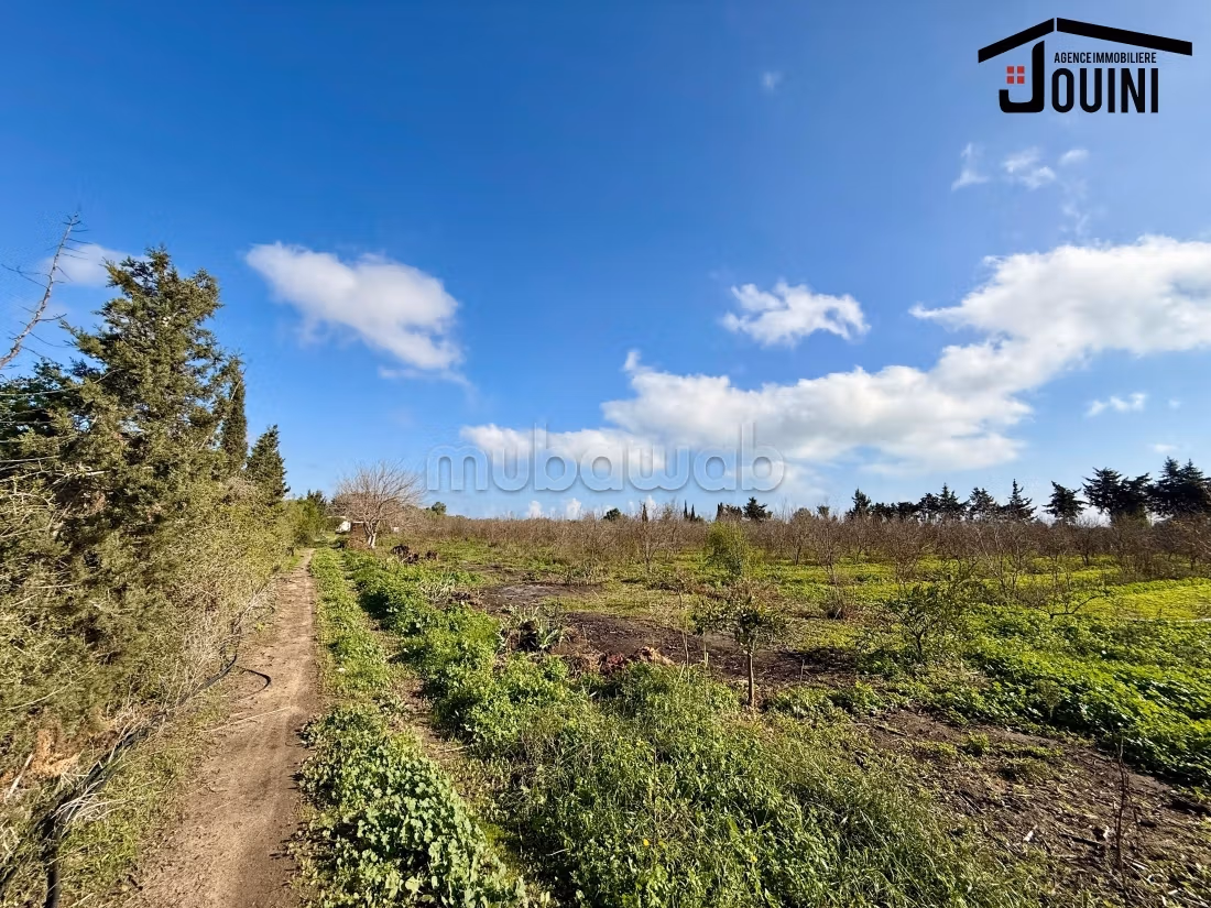 Land for purchase. Small area 12500 m²