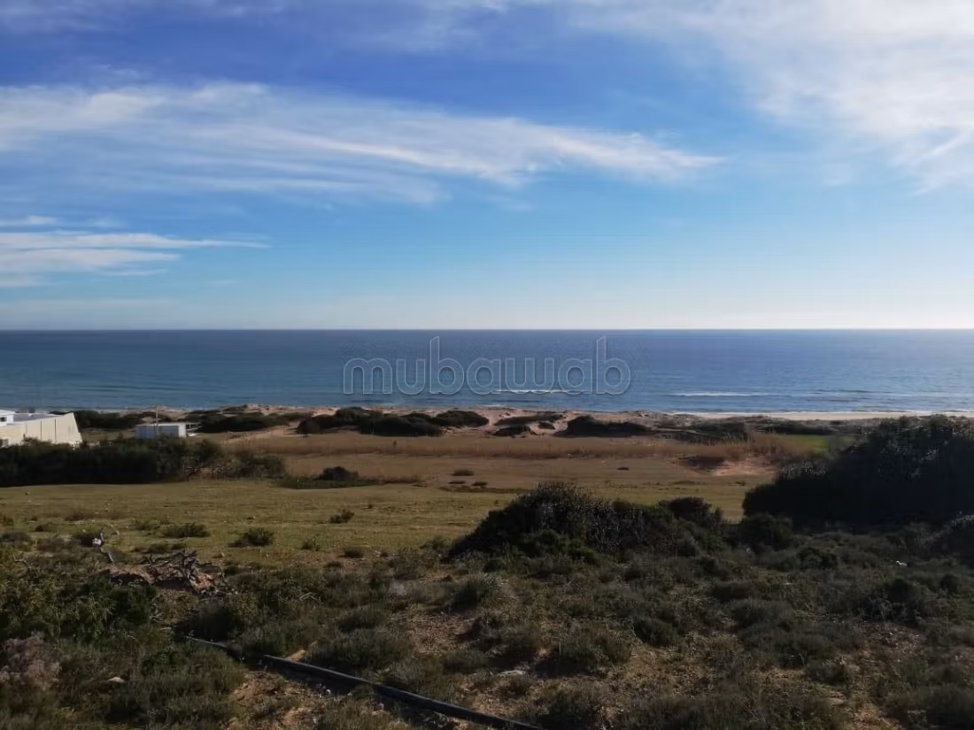 Land located in el hawaria