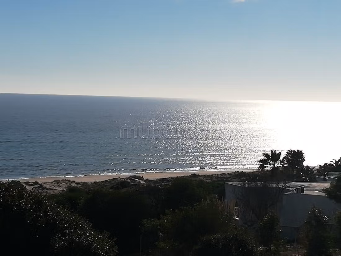 Land located in el hawaria
