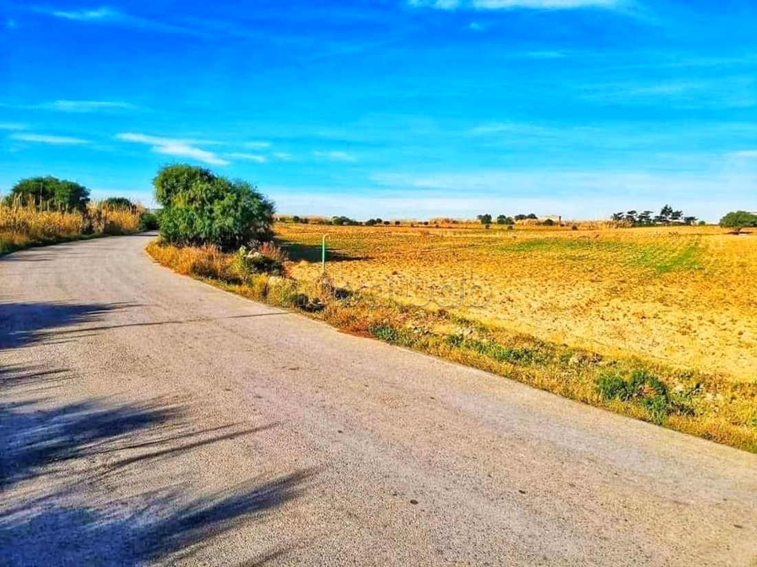 Land located in el hawaria
