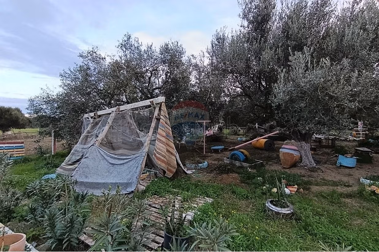 Farming area with studio, Hammam Ghezèze