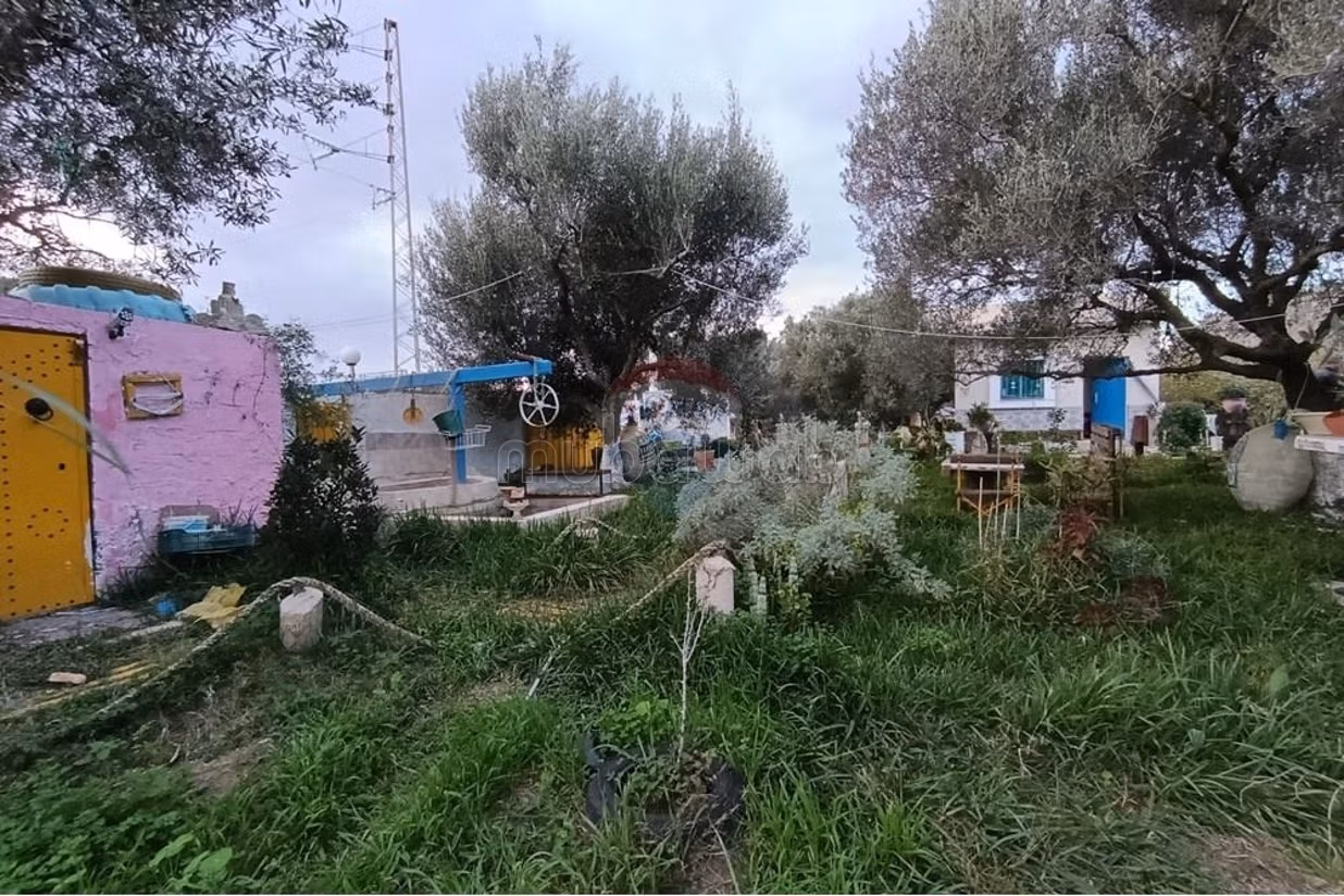 Farming area with studio, Hammam Ghezèze