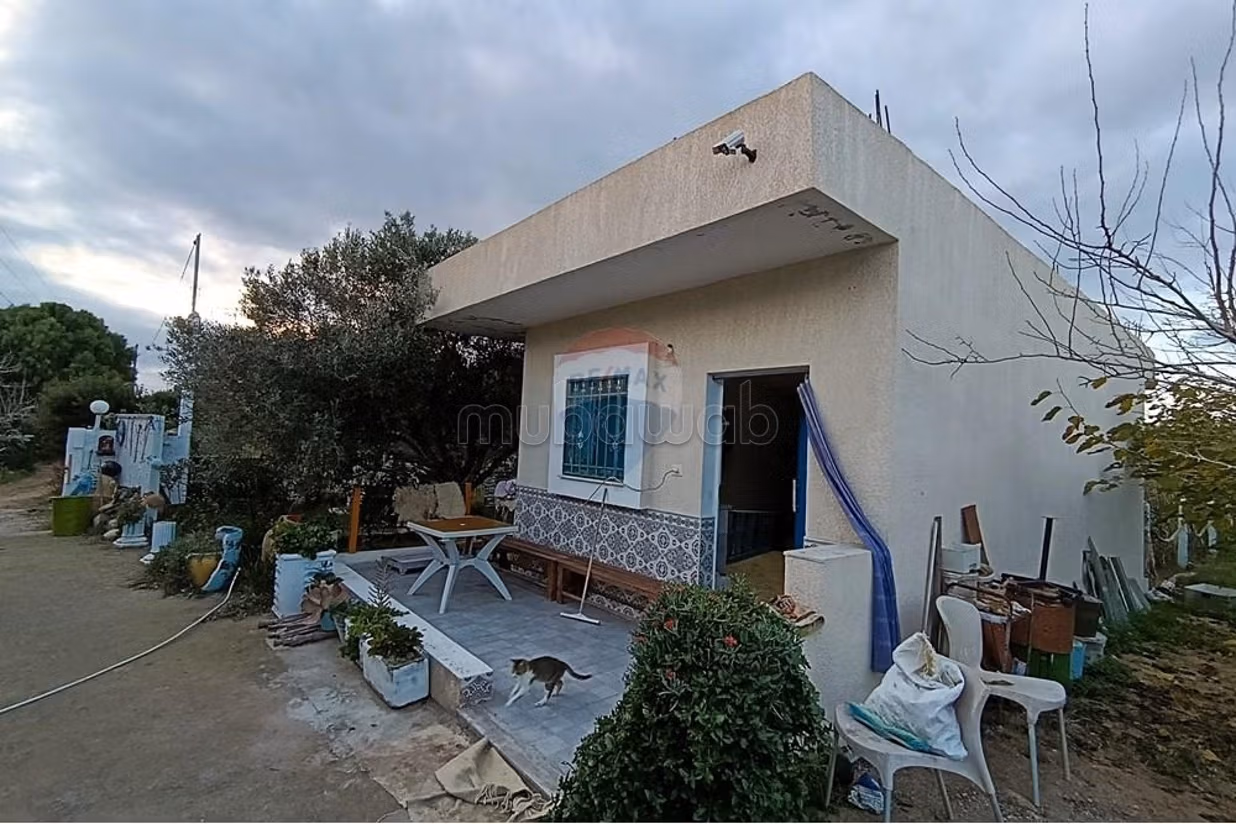 Farming area with studio, Hammam Ghezèze