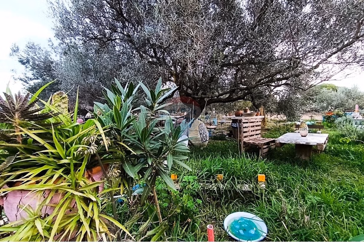 Farming area with studio, Hammam Ghezèze