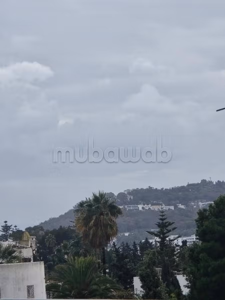 Terrain pour villa à gammarth supérieur