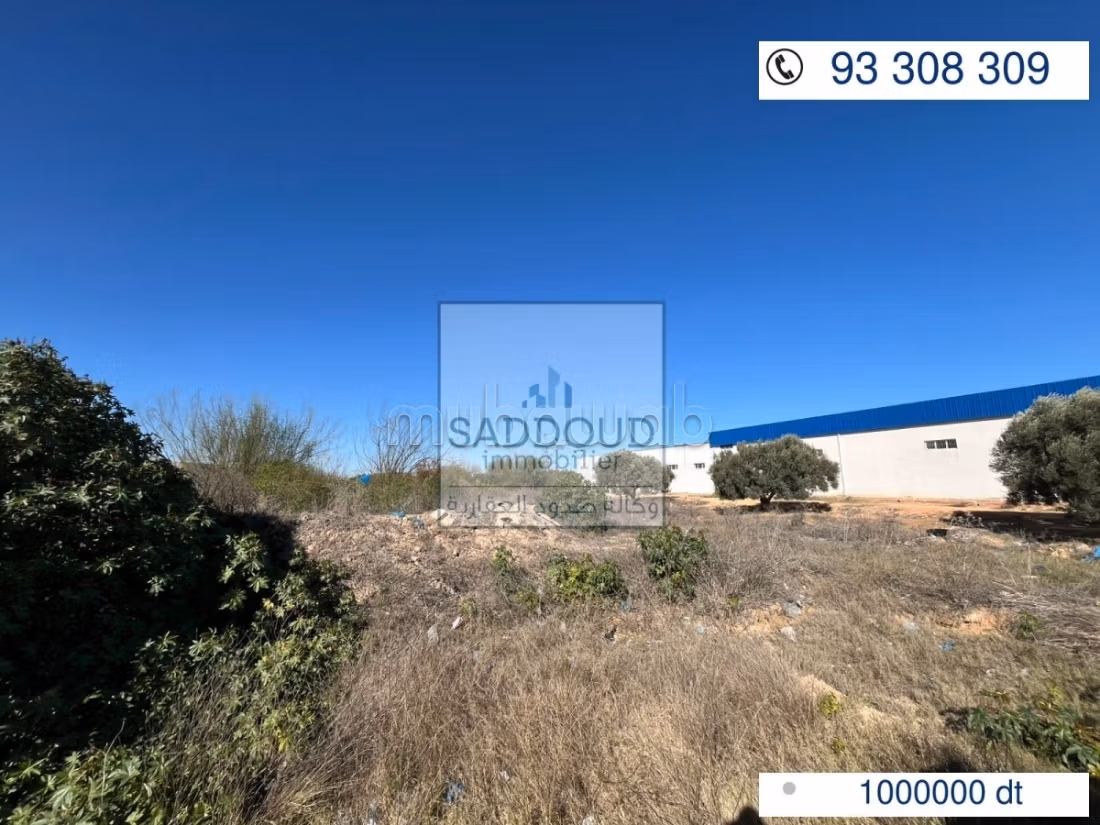 Land for sale Airport Road km 11