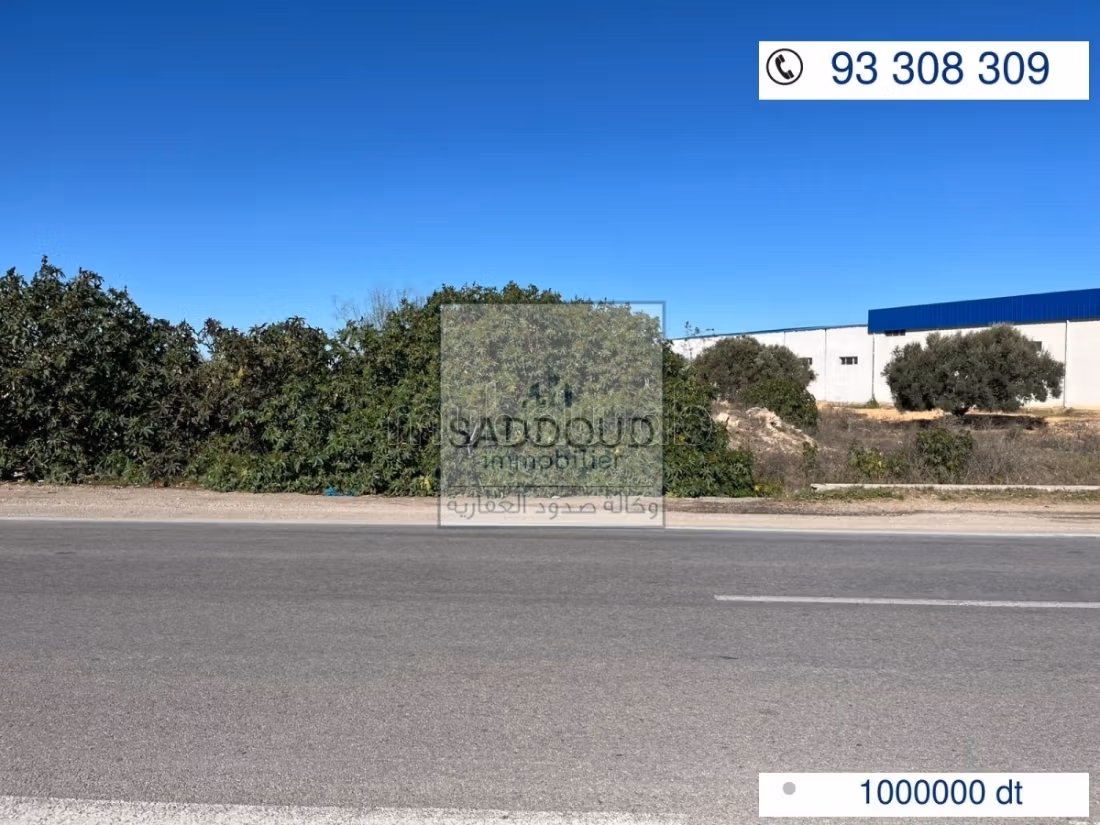Land for sale Airport Road km 11