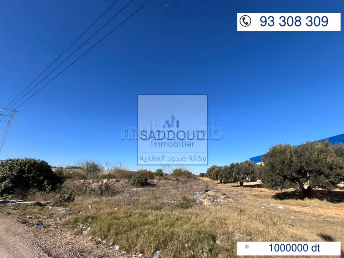 Land for sale Airport Road km 11