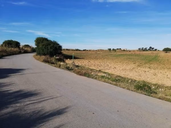 Offre à ne pas rater à El Haouaria