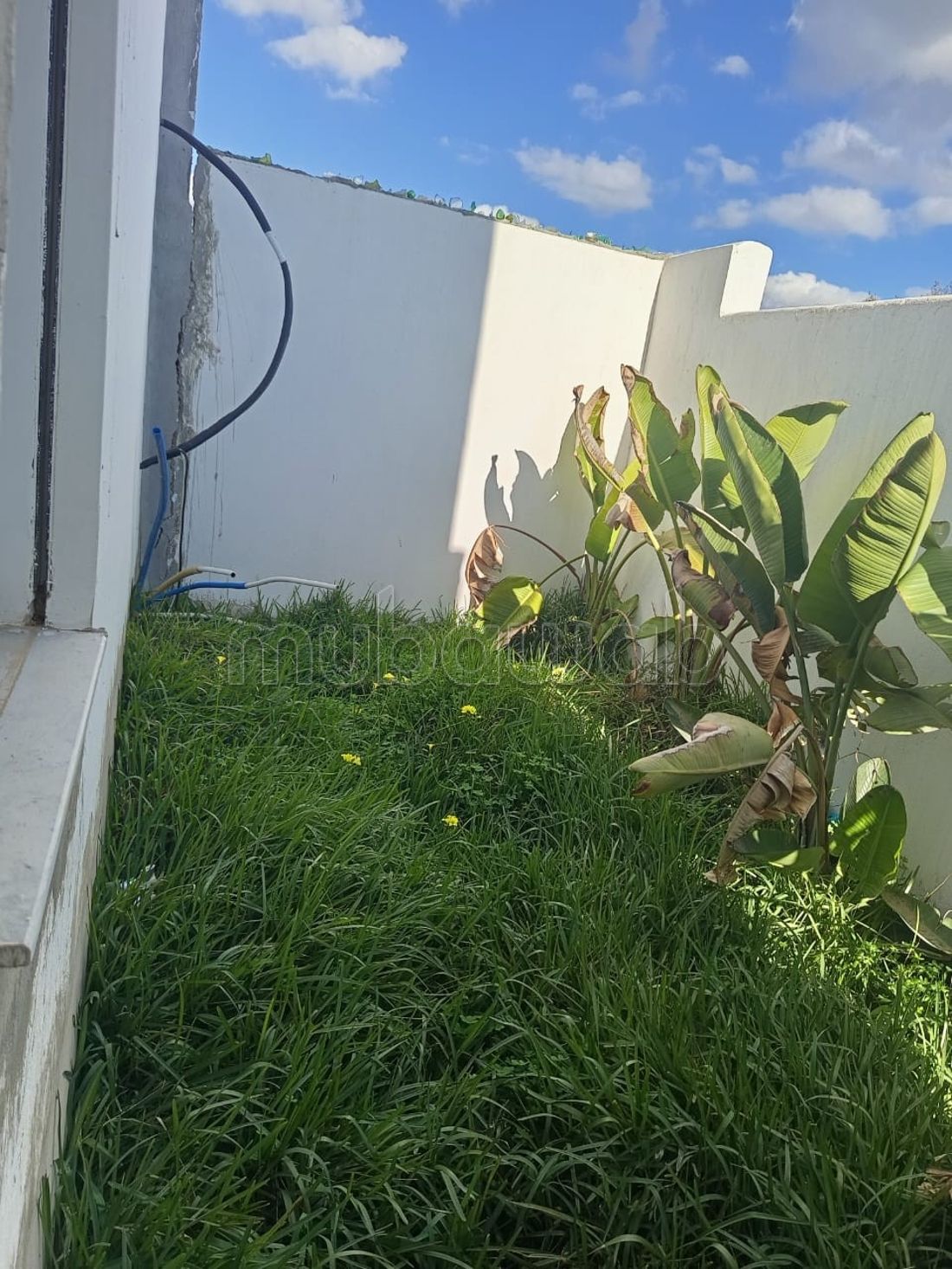 Villa a vendre à sidi hammed