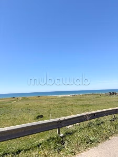 Pour villa vue mer à briech. A vendre terrain 963 m²