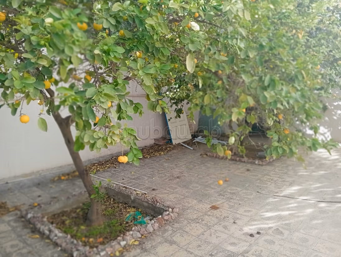 Rez de jardin au mourouj 2