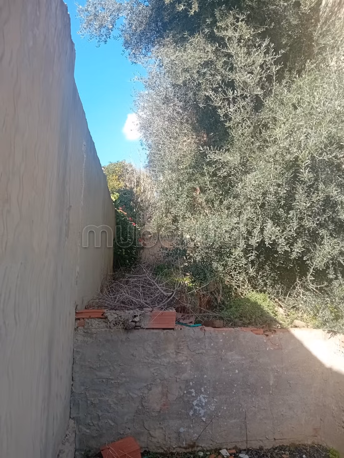 Somptueuse villa à vendre à Ben Arous. Surface de 270 m². 