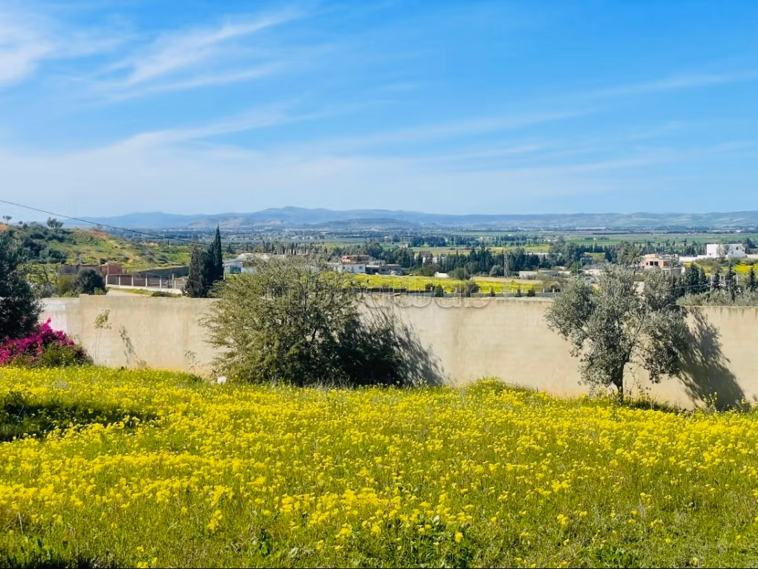 Villa d’exception Panorama à perte de vue