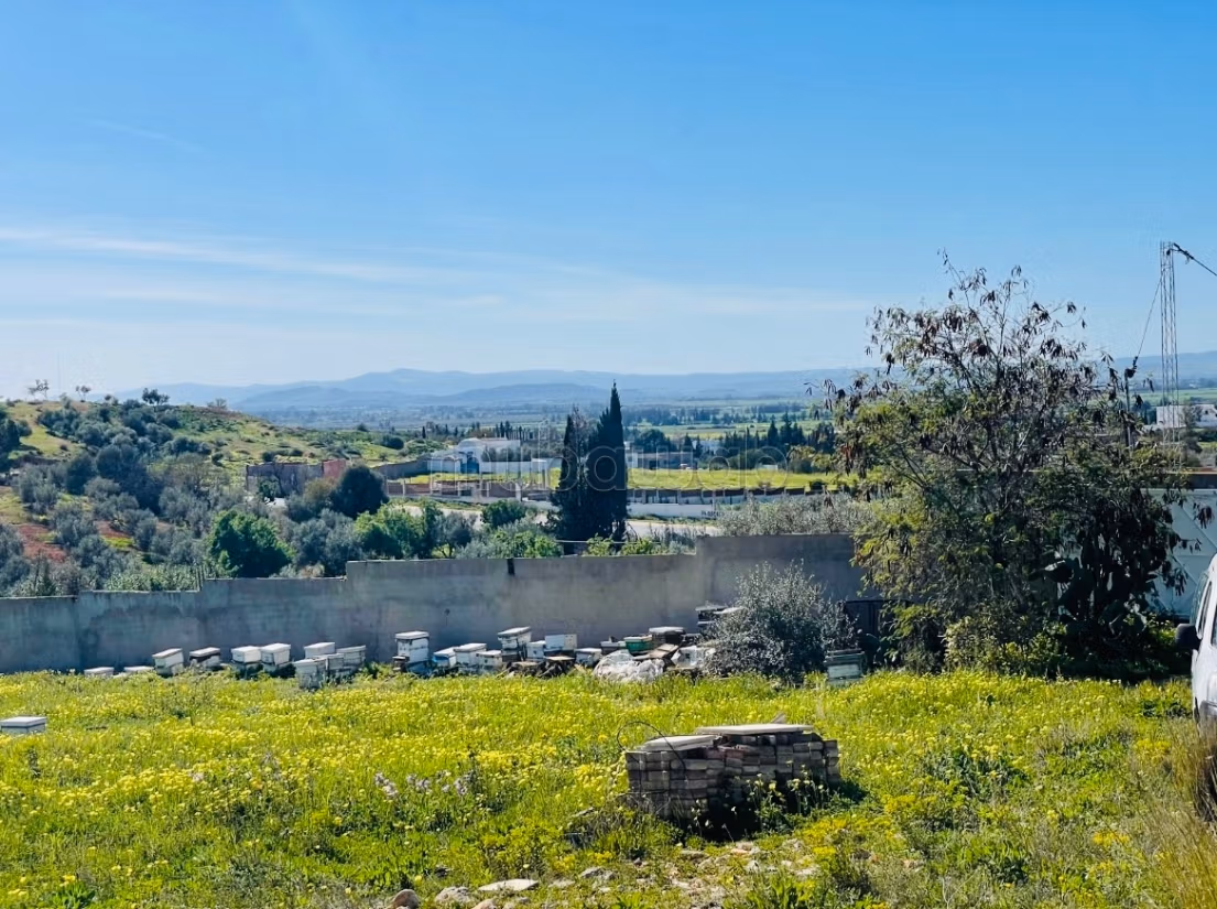 Villa d’exception Panorama à perte de vue