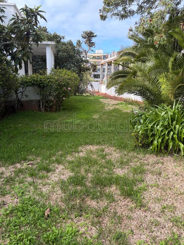 Haut agdal prés descartes villa plain pied à louer