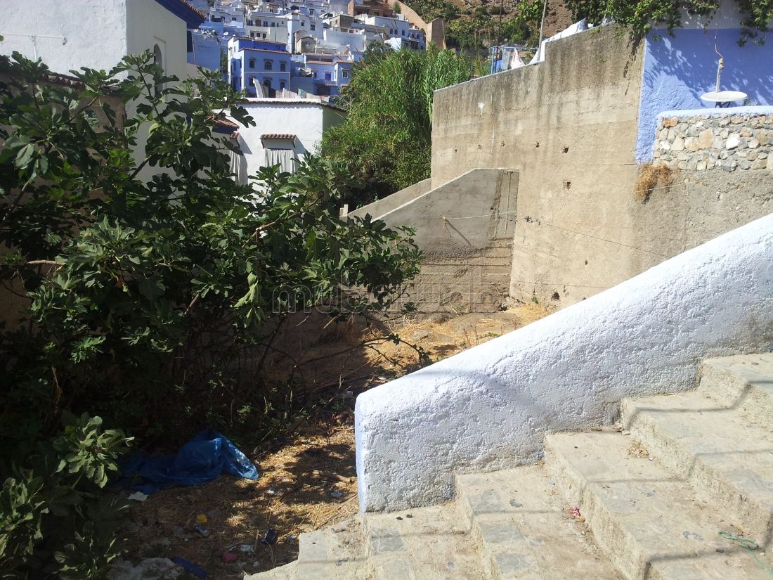 Vente terrain chefchaoune