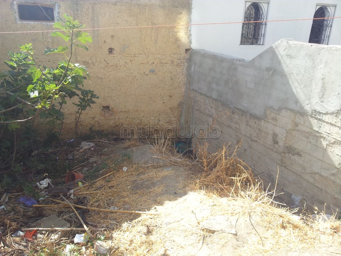 Vente terrain chefchaoune