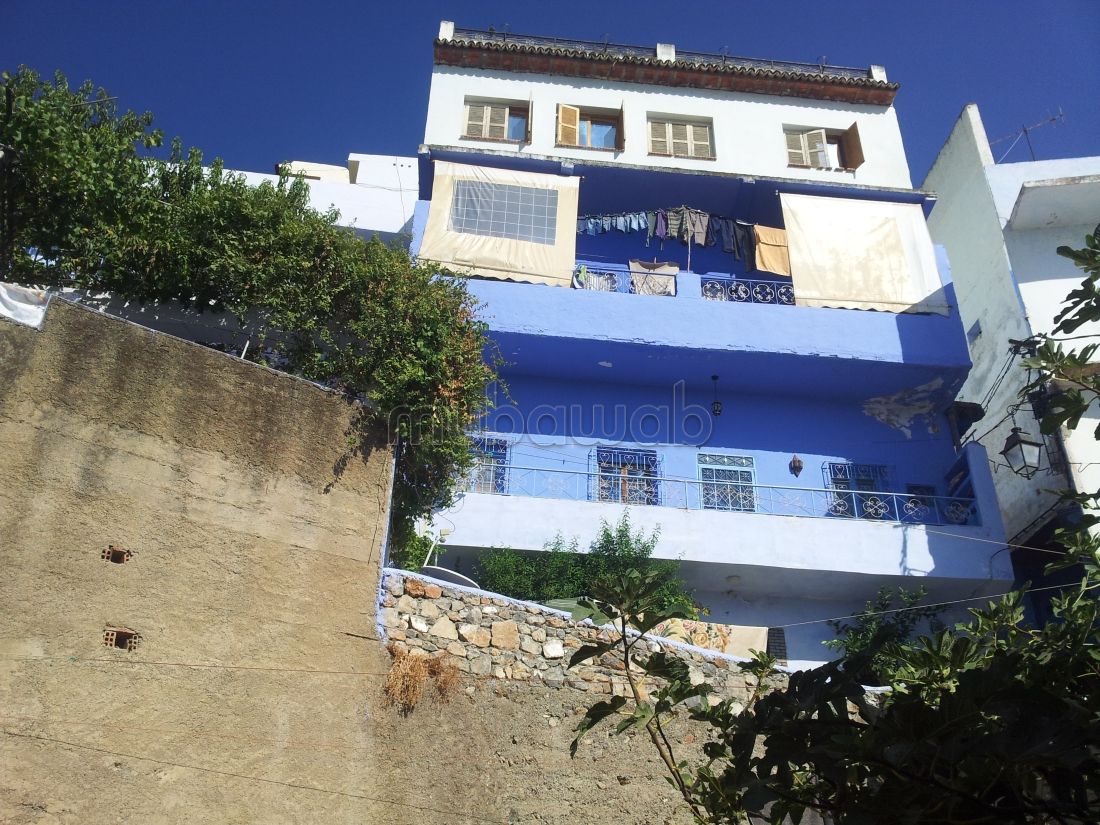 Vente terrain chefchaoune