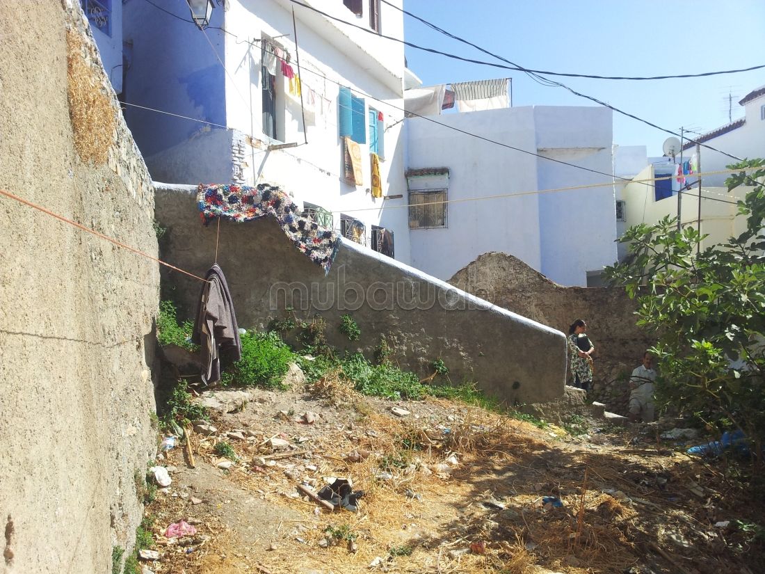 Vente terrain chefchaoune