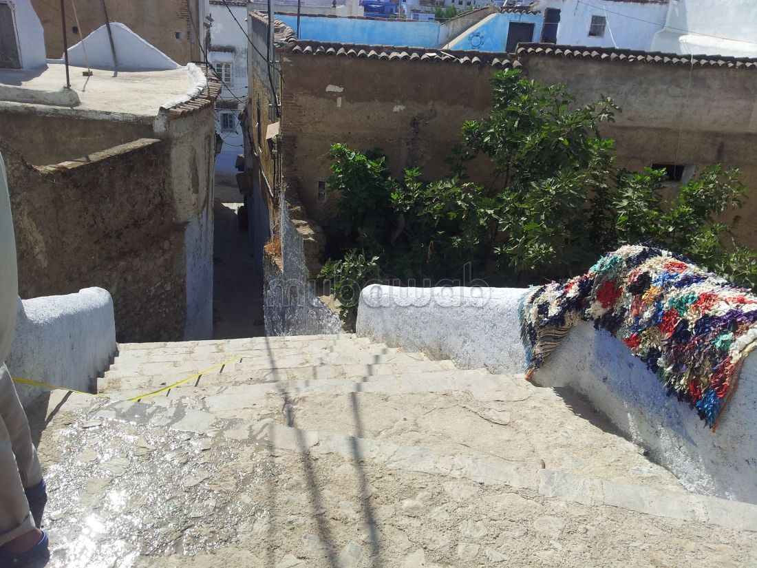 Vente terrain chefchaoune