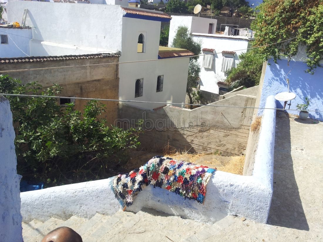 Vente terrain chefchaoune