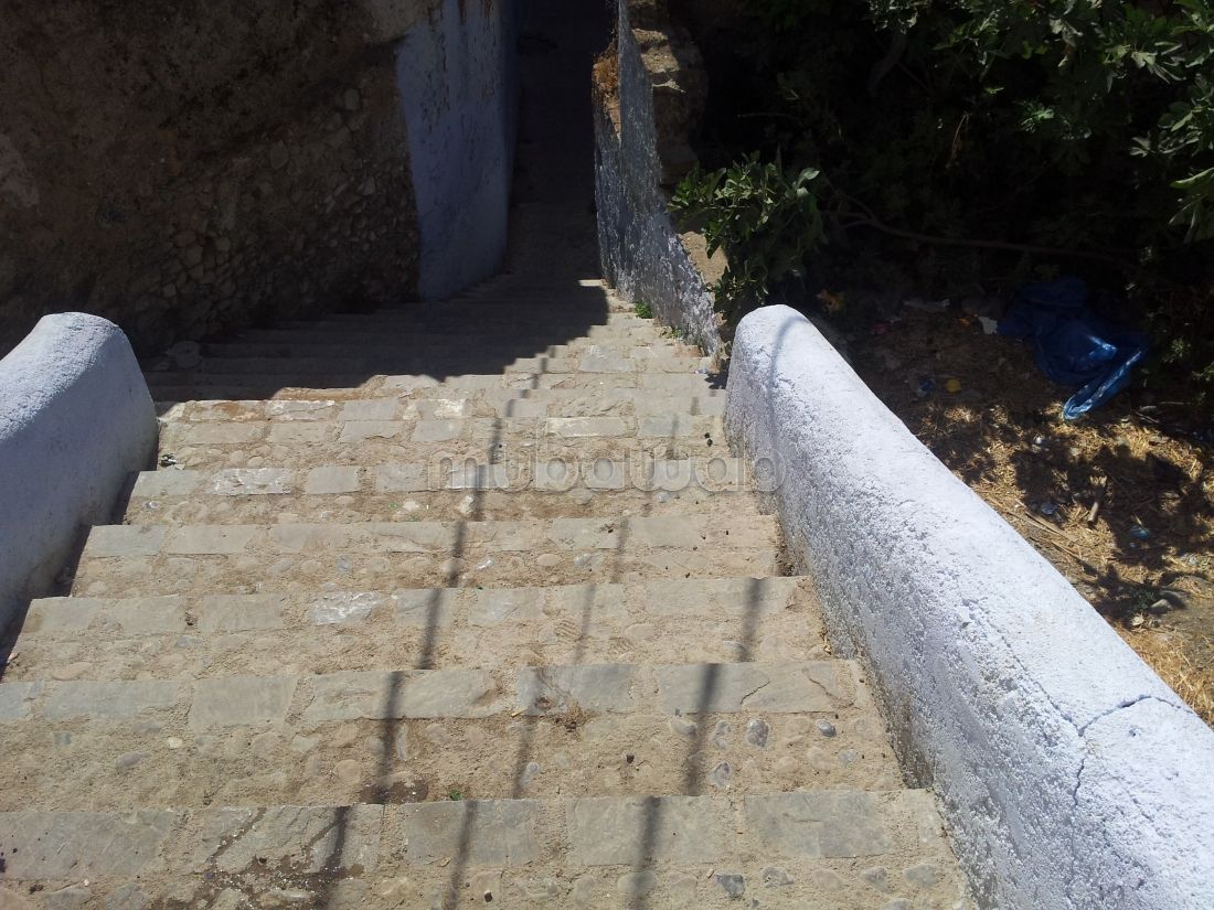 Vente terrain chefchaoune