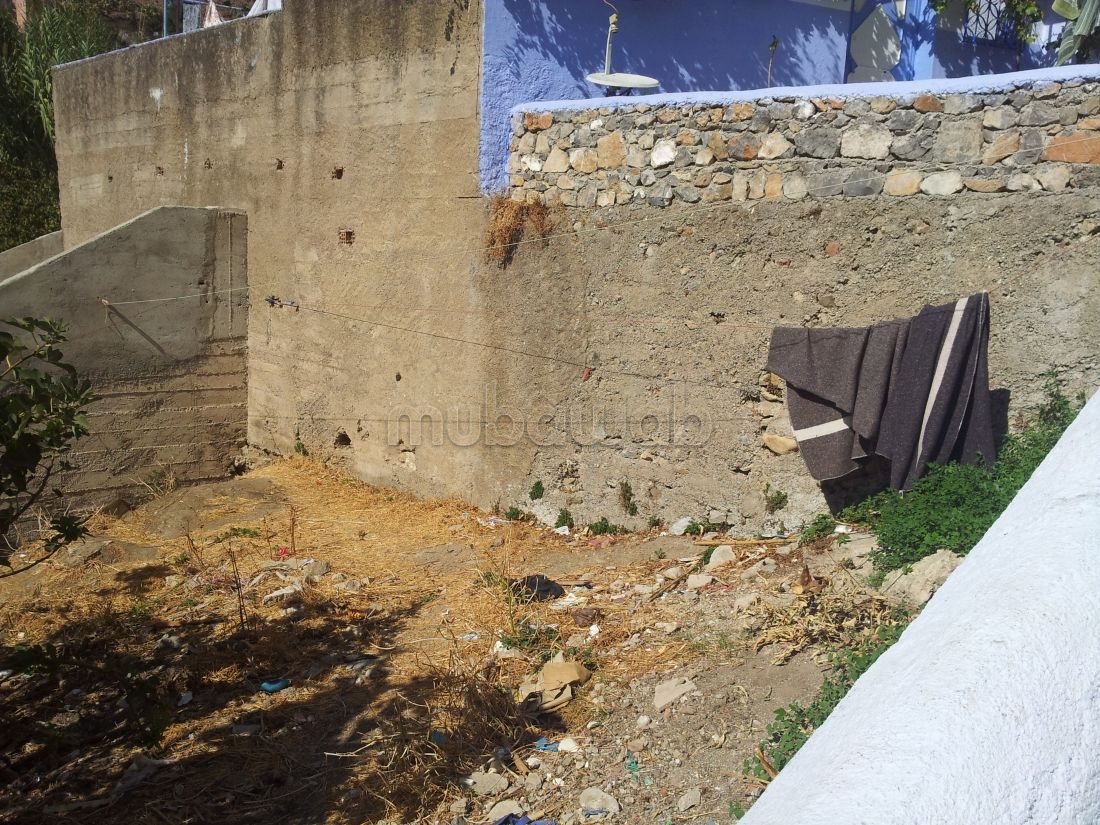 Vente terrain chefchaoune