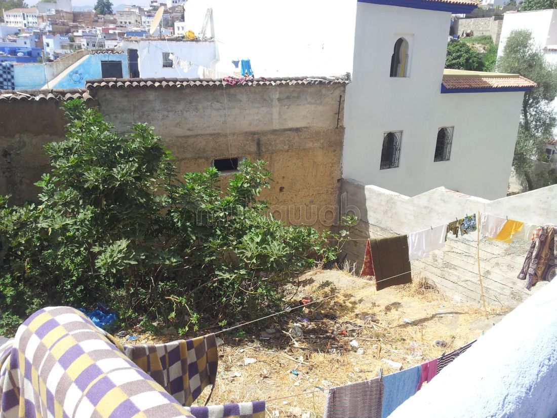 Vente terrain chefchaoune