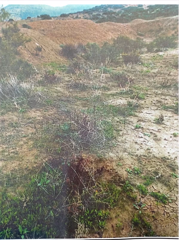 Land for purchase. Dimension 70190 m². 