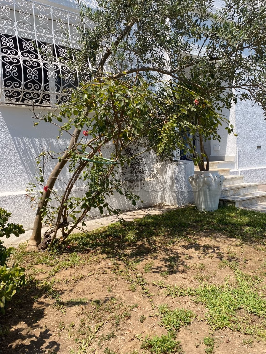 A louer RDC S3 vide avec jardin à la Marsa