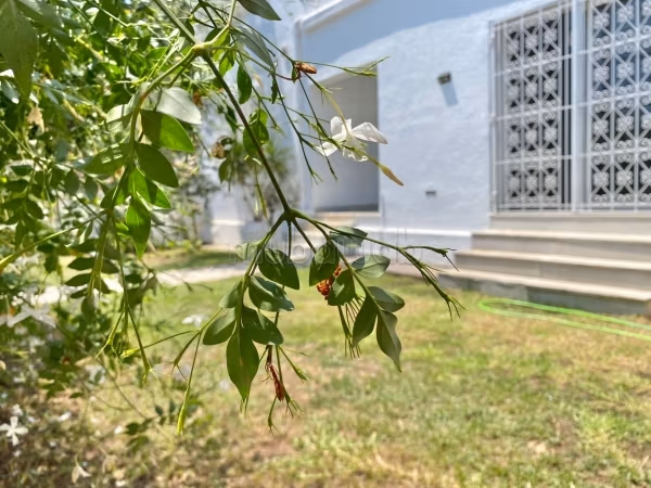 A louer RDC S3 vide avec jardin à la Marsa