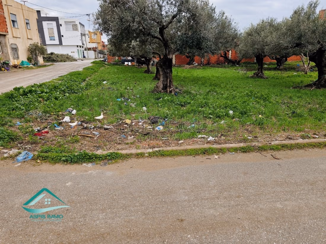 Land for purchase. Area 240 m². 
