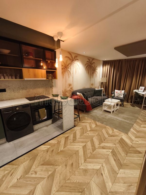 Rent this apartment in Hermitage. 1 lovely room. Fully furnished. 