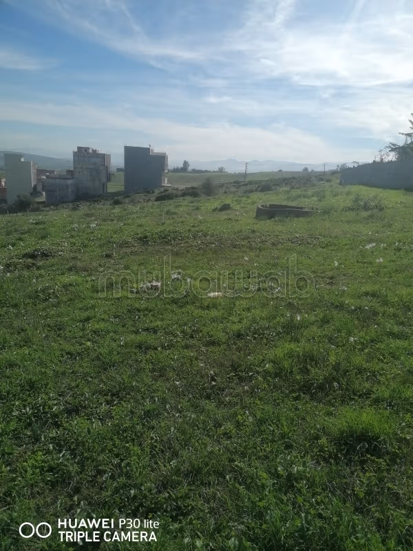 Kopen: land. Oppervlakte 62 m². 