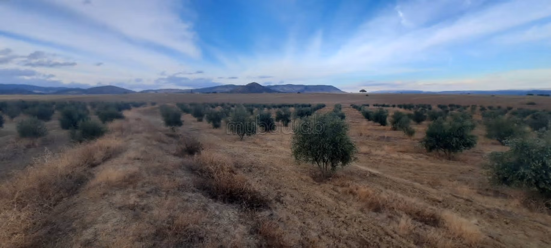 Vendita terreno. Superficie totale 50000 m². 