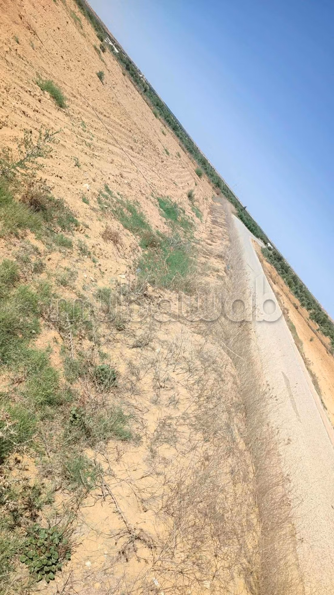 Acquista questo bel terreno a Agareb. Superficie 28000 m². 